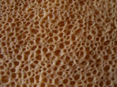 injera